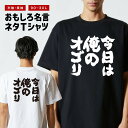 おもしろTシャツ おもしろ Tシャツ ネタTシャツ メンズ レディース キッズ 半袖 長袖 プレゼント ギフト 文字 漢字 メッセージTシャツ 文字Tシャツ パ...