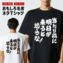 おもしろTシャツ おもしろ Tシャツ ネタTシャツ メンズ レディース キッズ 半袖 長袖 プレゼント ギフト 文字 漢字 メッセージTシャツ 文字Tシャツ パ...