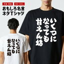 おもしろTシャツ おもしろ Tシャツ ネタTシャツ メンズ レディース キッズ 半袖 長袖 プレゼント ギフト 文字 漢字 メッセージTシャツ 文字Tシャツ パ...