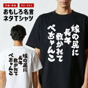 おもしろTシャツ おもしろ Tシャツ ネタTシャツ メンズ レディース キッズ 半袖 長袖 プレゼント ギフト 文字 漢字 メッセージTシャツ 文字Tシャツ パ...