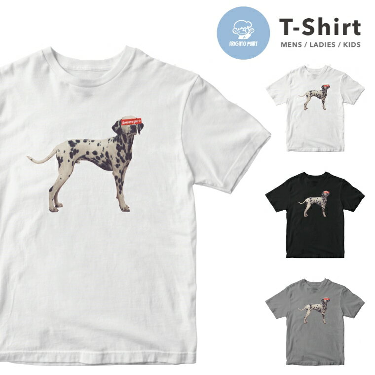 T����� ��� ��ǥ����� ���å� Ⱦµ ������� �ץ��� ���롼�ͥå� �֥�å� �ۥ磻�� ���졼 ���� ���� ��� �Ҷ� �����奢�� �ե��å���� 5....