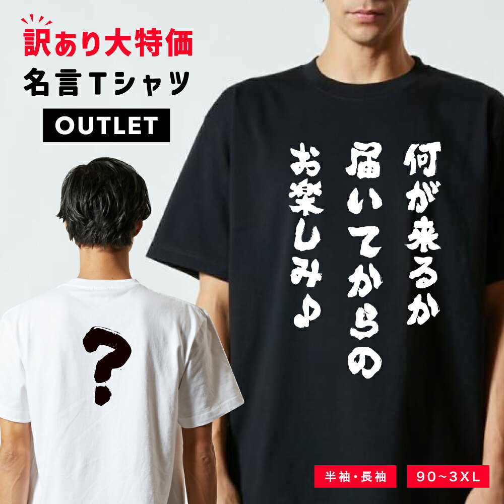 樂天商城 - 【1000円ポッキリ】 訳あり アウトレット おもしろ Tシャツ 半袖 メンズ レディース キッズ バックプリント 日本語 文字 ふざけ ネタ 名言 迷言 格言 漢字 グッズ 長袖 面白いTシャツ おもしろTシャツ プレゼント ネタTシャツ