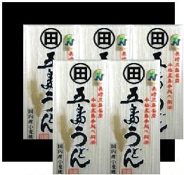 （御自宅用）≪数量限定≫本格国内産手延べ五島うどん5束（10人前） 2