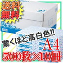 コピー用紙 A4 5000枚(500枚×10冊)PPC用紙 印刷用紙 OA用紙 オフィス用品 事務用品 A4コピー用紙 箱売り A4用紙 家庭用 両面印刷 FAX用紙 ファックス用紙 プリント カラー印刷 インクジェットプリンター 大王製紙 【D】