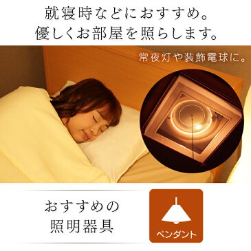 LED電球 ナツメ球タイプ E17 電球色相当 電球 照明 LED ライト Light 電気 電灯 あかり 明かり 灯り 室内 屋内 部屋 raito denki dennkyuu 明るい 長寿命 アイリスオーヤマ