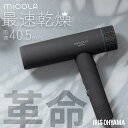 ドライヤー 大風量 速乾 軽い 軽量 時短 ヘアドライヤー アイリスオーヤマ コンパクト 1200w 高性能 イオンドライヤー 低温 小さい ヘアケア 新生活 ...