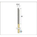 【ナカニシ】ナカニシ　インサイドブラシ　2本入　51579[ナカニシ　先端工具（一括品）作業用品電動工具・油圧工具マイクログラインダー]【TN】【TC】 P01Jul16