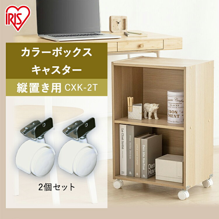 ���顼�ܥå��� �ѡ��� ���ץ���� ���֤��� ���㥹���� 2�ĥ��å� CXK-2T ����̵�� ��Ǽ ���֤� ��Ǽ���� �ȶ� ���顼BOX �����ꥹ������� �������ޥ��� �����餷 ���å� �ȶ� ��Ǽ [2602SX]