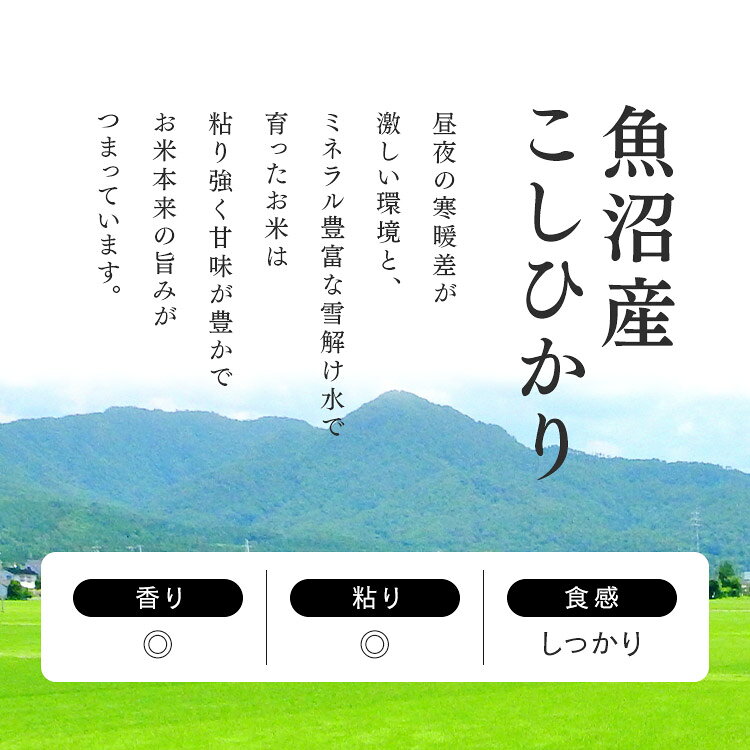 パックご飯 150g 3食 コシヒカリ パックごはん レトルトご飯 ごはん パック 米 パ...
