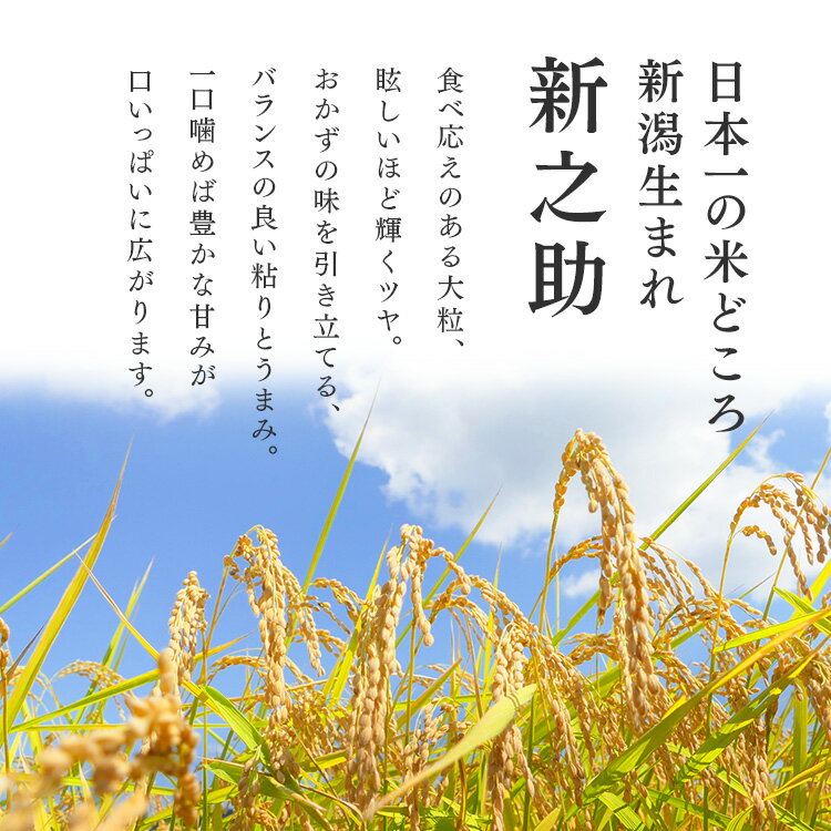 新之助パックご飯 150g×24パック 低温製法米のおいしいごはん パックごはん パックご飯 パック米 パック 米 ごはん ご飯 低温製法 低温製法米 保存 備蓄 非常食 アイリスフーズ