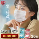 デイリーフィットマスク ナノエアーフィルタープラス 小さめサイズ ふつうサイズ 30枚入 PN-DNI30S PN-DNI30L ホワイト ナノエアー 通気性 ...