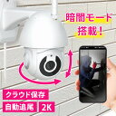 Wifi接続を利用したネットワークカメラです。クラウドストレージサービスへの加入（※有料）も可能。●商品サイズ（cm）幅約10×奥行約17.5×高さ約17.4●商品重量約765g●仕様DC 5V/1A Min-USB（検索用：防犯カメラ 小型 室外 wi-fi 自動追跡 暗視 動体検知 高画質 家庭用 スマホ 双方向通話 クラウド 防犯 見守り 野外 4570092680276） あす楽対象商品に関するご案内 あす楽対象商品・対象地域に該当する場合はあす楽マークがご注文カゴ近くに表示されます。 詳細は注文カゴ近くにございます【配送方法と送料・あす楽利用条件を見る】よりご確認ください。 あす楽可能なお支払方法は【クレジットカード、代金引換、全額ポイント支払い】のみとなります。 下記の場合はあす楽対象外となります。 15点以上ご購入いただいた場合 時間指定がある場合 ご注文時備考欄にご記入がある場合 決済処理にお時間を頂戴する場合 郵便番号や住所に誤りがある場合 あす楽対象外の商品とご一緒にご注文いただいた場合