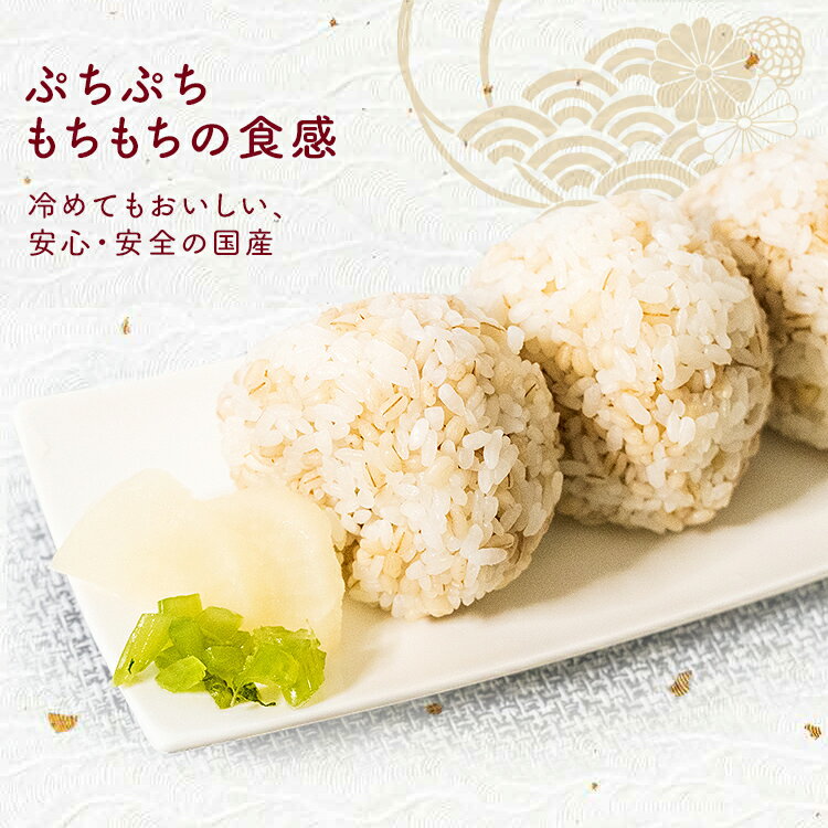 もち麦 2kg チャック付 食物繊維 雑穀 穀物 もちむぎ 2キロ モチムギ もちもち ぷ...
