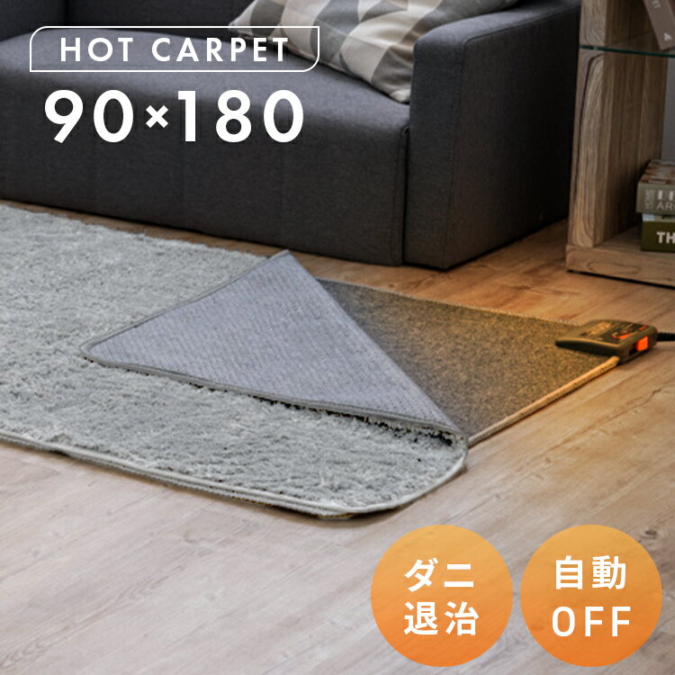 ホットカーペット 1畳 カーペット 電気カーペット 本体 90×180cm 電気カーペット 1畳 マット ホットマット カーペットホット 1人用ホットカーペット 床暖房カーペット 一畳 暖房 足元暖房 ダニ対策 ミニマット 長方形 コンパクト TEKNOS HC-IR100【新】のサムネイル