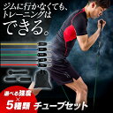 チューブセット 5本セット 23-213フィットネス ダイエット 健康器具 体幹トレーニング エクササイズ トレーニング トレーニングチューブ 宅トレ チューブ...