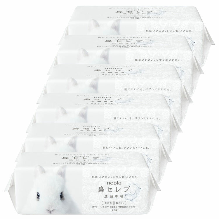 ��6�ĥ��åȡۥե�������륿���� �Ȥ��Τ� ���� �ͥԥ� ɡ����� �������� 240���120�ȡ� 541338ɡ����� ȩ ���� �ե����� ������ �ѥ�� ��...