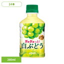 ダイドー PET 果汁 ぎゅぎゅっと!白ぶどう×24本 ダイドー PET 果汁 白ぶどう ぶどう お子様 レジャー 小PET 持ち運び 飲み切りサイズ ダイドー...