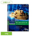 【10個セット】 パスタソース 青の洞窟 ボンゴレビアンコ 青の洞窟 あさりの旨み広がるボンゴレビアンコ 青の洞窟 日清製粉ウェルナ 簡単 パスタ パスタソース...