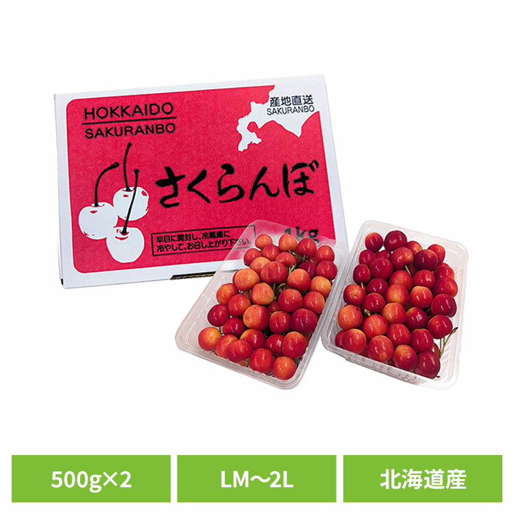 北海道産さくらんぼ1kg（500g×2） さくらんぼ 北海道 産地直送 旬 農産 フルーツ ギフト 甘い 佐藤錦 紅秀峰 【TD】 【代引不可】