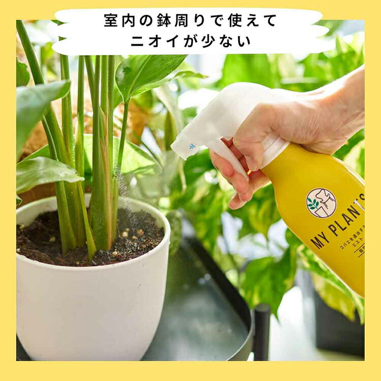 MY PLANTS コバエを退治するミスト 250ml 殺虫剤 コバエ 天然 幼虫 卵 駆除 退治 ...