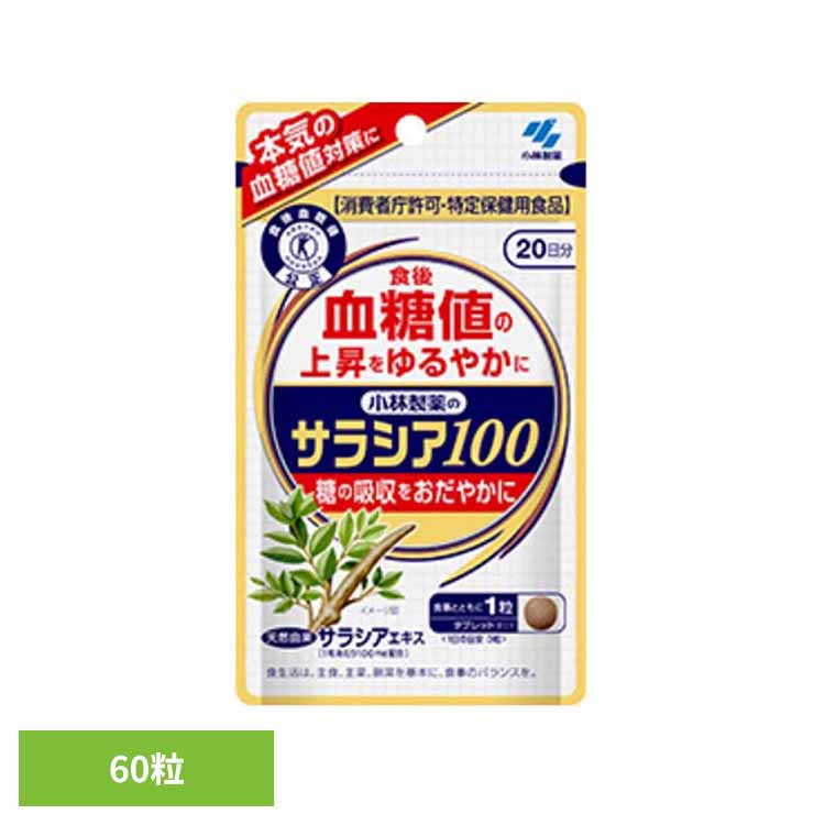 ���ѐ��� �T���V�A100 60�� ��20����