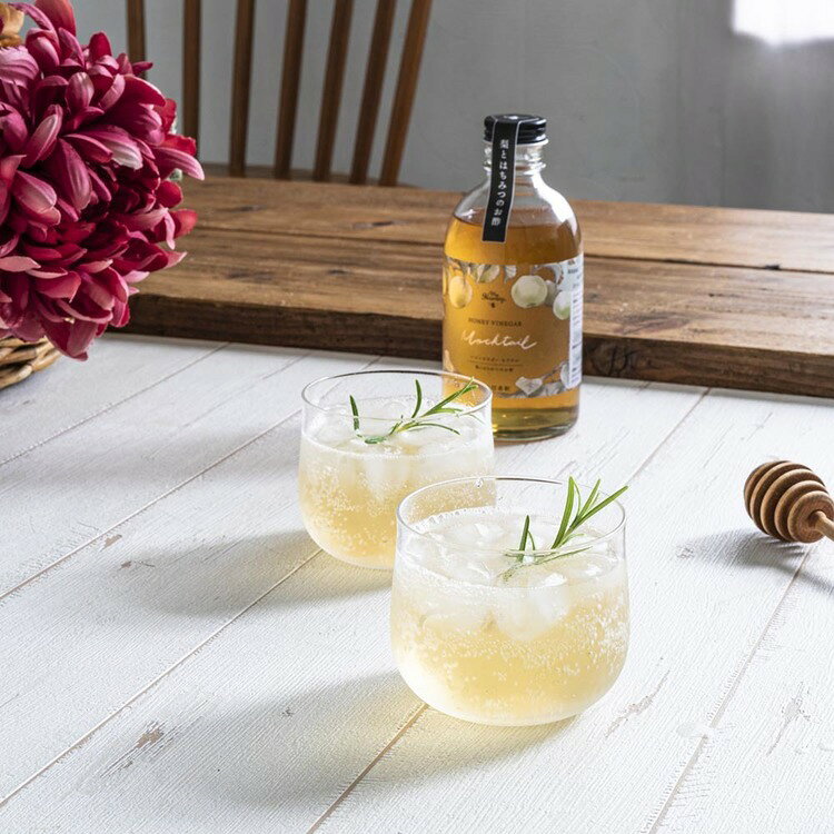 工具ワールド ARIMASのマイハニービネガーモクテル 酢 はちみつ 梨 水割り 炭酸 MY HONEY 【TD】 【代引不可】｜アングル3