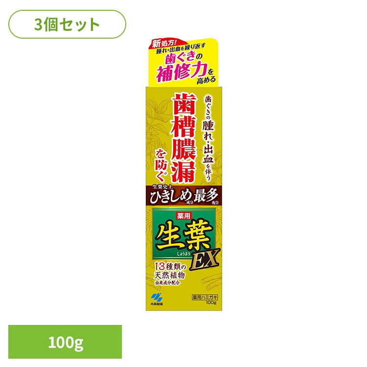 【3個セット】生葉EX 100g 小林製薬 生葉 歯磨き オーラルケア 生葉