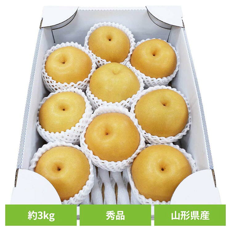山形県産刈屋梨 約3kg（7〜9玉） 山形県産 刈屋梨 和梨 お取り寄せ 送料無料 産地直送 フルーツ ご褒美 季節の贈り物 贈答 【TD】 【代引不可】