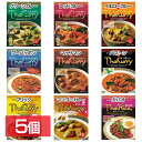 【5個】タイカレー ガパオ 全9種 ヤマモリ タイカレー ガ