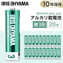送料無料 BIGCAPA basic+ 単3形アルカリ乾電池20本パック LR6Bbp/20S 乾電池 アルカリ乾電池 単3 単3形 単三 単三形 電池 バッテ...