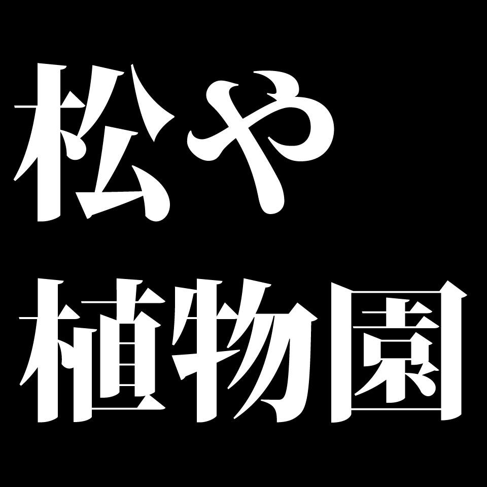Shop icon