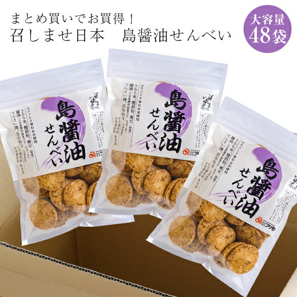 【 まとめ買いでお買得！ 送料無料 】召しませ日本・島醤油せんべい 80g×48袋化学調味料 無添加 お菓子 せんべい 煎餅 うるち米（国産） まとめ買い ケース買い お得 値引き 保存食 保存 大容量