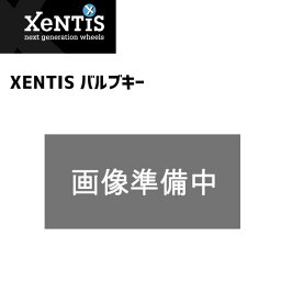 XENTIS ゼンティス バルブキー 自転車