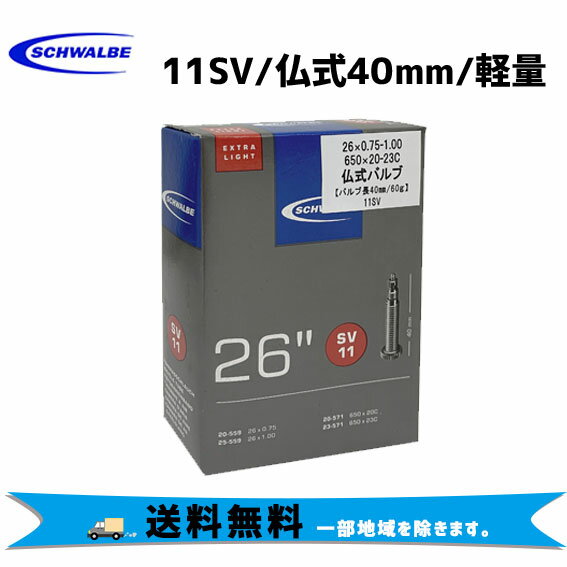 2本セット SCHWALBE 11SV 仏式40mm 26”/26x0.75/1.00, 650x20/23C 軽量 チューブ 自転車 送料無料 一部地域は除く