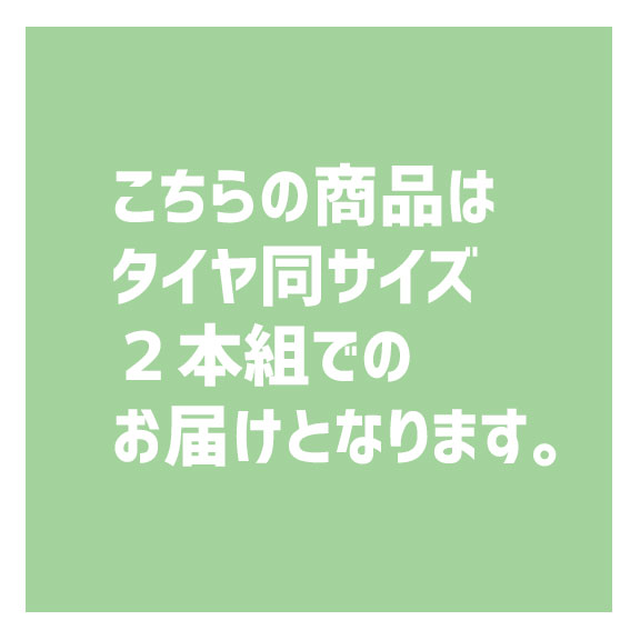 2本セット MICHELIN タイヤ PROT...の紹介画像2