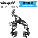 カンパニョーロ CAMPAGNOLO ダイレクトマウントブレーキ リア リアステイ 19- BR19-DMRSS 送料無料 一部地域は除く