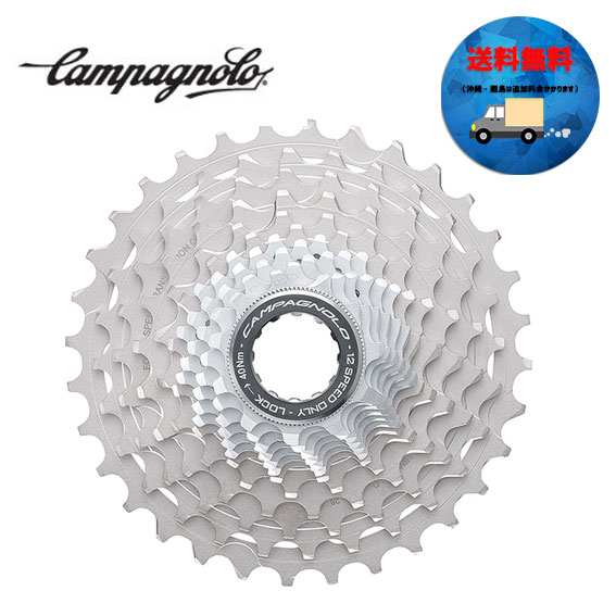 ѥ˥硼 CAMPAGNOLO å 12s 11-32(19-) 12s 11-32 CS19-SR1212 ̵ ϰϽ