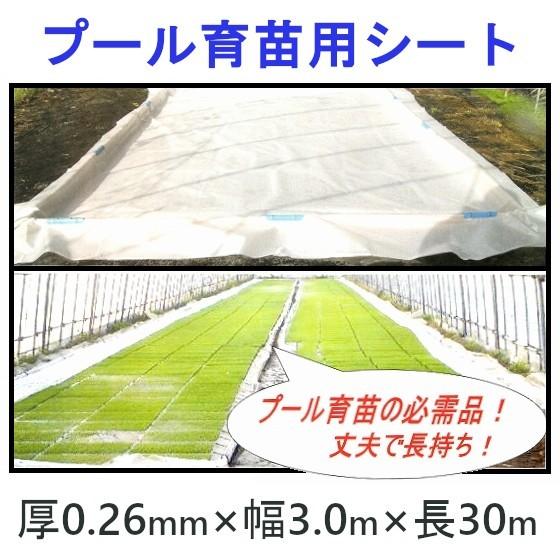 育苗プールシート 厚さ 0.26mm × 幅 3.0m × 長さ 30m 育苗用 プール シート プール育苗