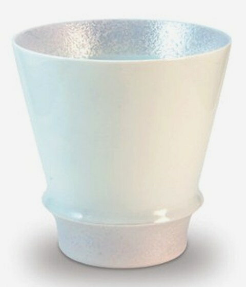 名入れマグカップ（長寿祝い向き） 【オリジナル名入れ】 有田焼 匠の蔵 パール 至高の焼酎グラス