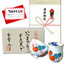 還暦祝い 無病息災を願った縁起物ギフト 有田焼 湯呑み 茶碗 飯碗 セット 鍋島六瓢 赤 のし・メッセージカード付き 木箱入り