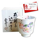 母の日 ギフト プレゼント 湯呑み 感謝を込めた母の日 プレゼント 無病息災 花六瓢・赤 有田焼 日本製 木箱入り 贈答用