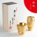 退職祝い お礼 ビアグラス 焼酎グラス 2点セット おしゃれ 有田焼 感謝を込めて贈る 木箱入り プレゼント ジパング
