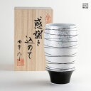 ビアグラス 有田焼 波佐見焼 プレゼント 感謝を込めた贈り物 ギフト 専用木箱入り 寿(黒)
