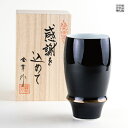 ビアグラス 有田焼 波佐見焼 プレゼント 感謝を込めた贈り物 ギフト 専用木箱入り エンゼルリング(黒)