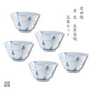 茶器セット 煎茶碗 湯呑 有田焼 波佐見焼 来客用 5客 セット 化粧箱入り 芽生 反煎茶