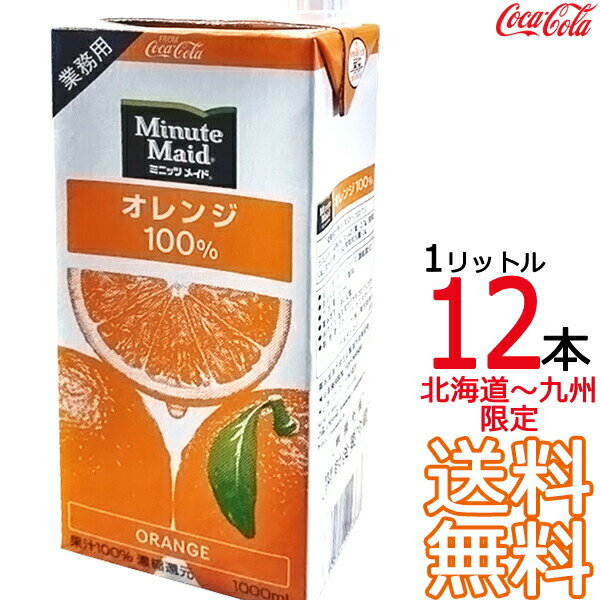  ミニッツメイド オレンジ 100% 1L 紙パック × 12本 （6本×2ケース） 業務用 1000ml 濃縮果汁還元 コカ・コーラ Coca Cola