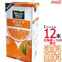 【送料無料 北海道から九州限定】 ミニッツメイド オレンジ 100% 1L 紙パック × 12本 （6本×2ケース） 業務用 1000ml 濃縮果汁還元 コカ・コーラ Coca Cola