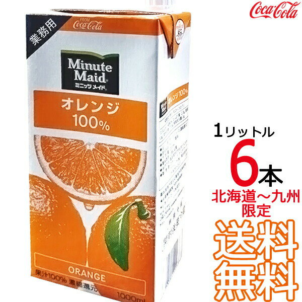 【送料無料 北海道から九州限定】 ミニッツメイド オレンジ 100% 1L 紙パック × 6本 （1ケース） 業務用 1000ml 濃縮果汁還元 コカ・コーラ Coca Cola