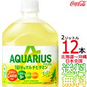 【北海道から沖縄まで 送料無料】 アクエリアス 1日分のマルチビタミン 2L × 12本 （6本×2ケース） 2000ml AQUARIUS スポーツドリンク ..