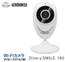 Glanshield（グランシールド） 超広角！水平180° ホームカメラ Wi-Fi防犯カメラ Dive-y Smile 180 ダイビースマイル180 GS-SML180DTK